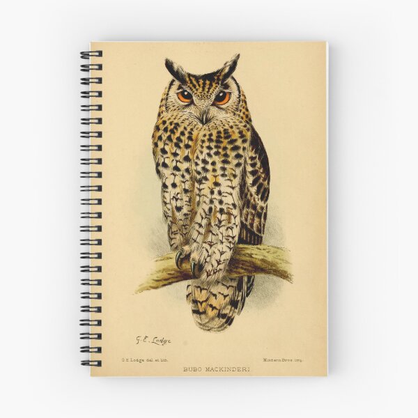 Item preview, Antique Owl designed and sold by collageDP.