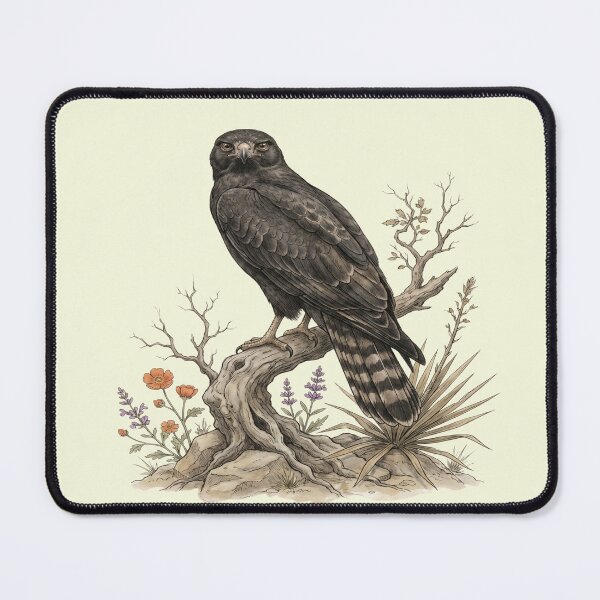 Item preview, Zone Tailed Hawk On Weathered Branch With Small Cluster Of Wildflowers designed and sold by BirdsnStuff.