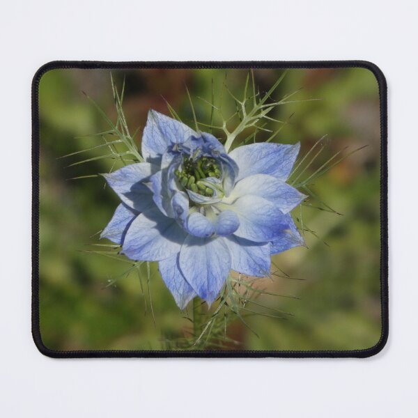 Item preview, Blue Love In A Mist designed and sold by CymaticResonanceArt.