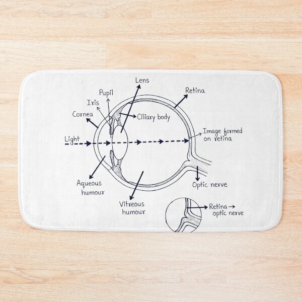 Item preview, Anatomy of the Human Eye Educational Diagram designed and sold by DariaOltes.