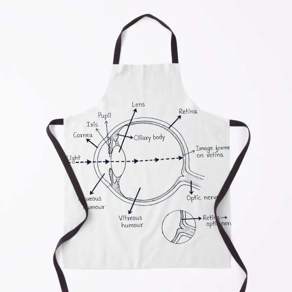 Item preview, Anatomy of the Human Eye Educational Diagram designed and sold by DariaOltes.