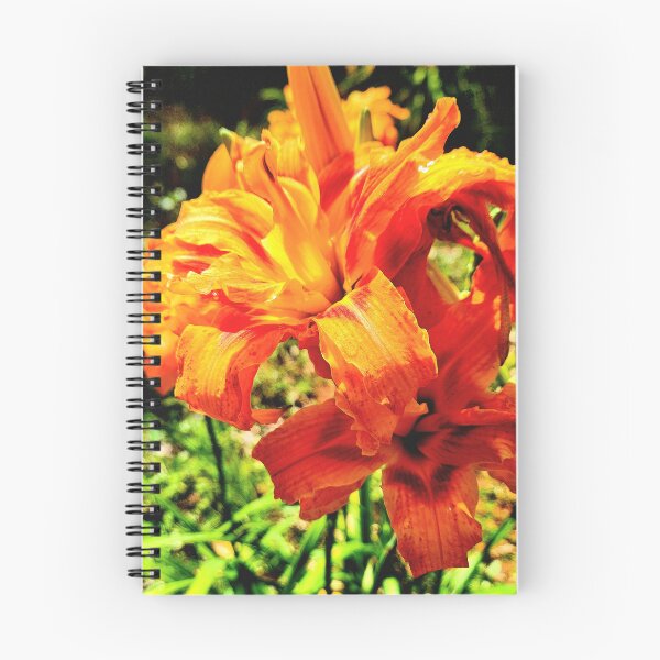 Item preview, Vibrant double lily designed and sold by Living Green in a Red State .