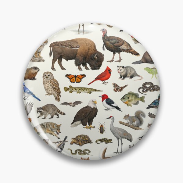Item preview, Animals of Indiana Retro Style Identification Chart designed and sold by kakarikihill.
