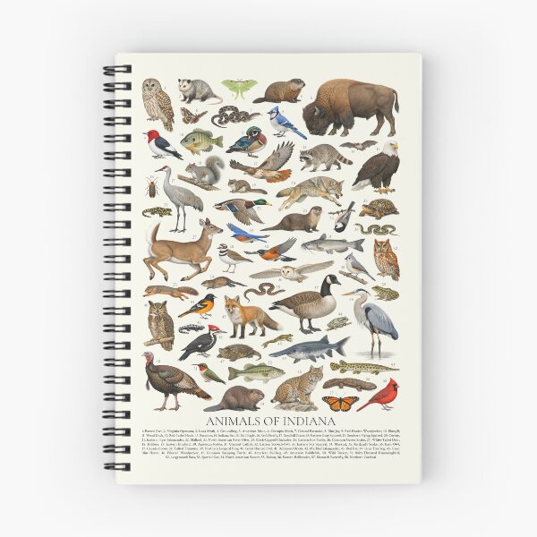 Item preview, Animals of Indiana Retro Style Identification Chart designed and sold by kakarikihill.