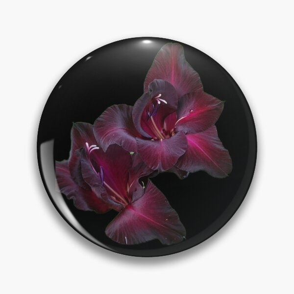 Artikelvorschau, Schwarze Gladiole entworfen und verkauft von Living Green in a Red State .