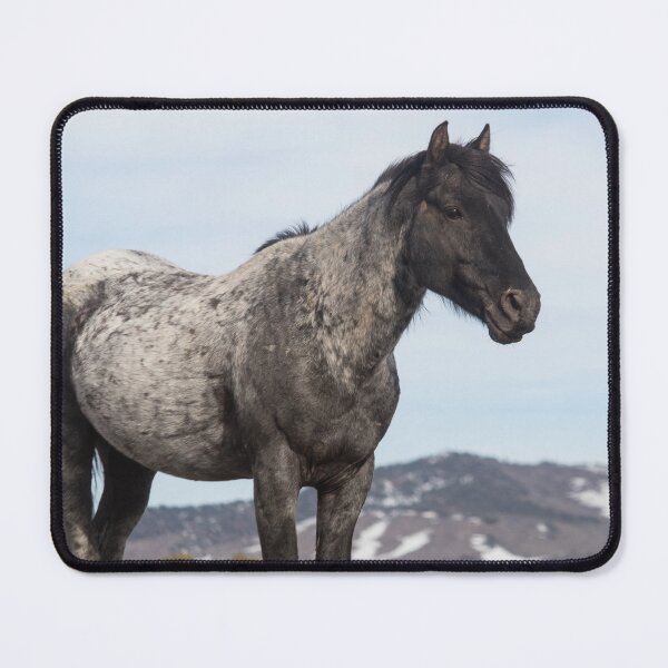 Item preview, Blue designed and sold by Jacquelie.