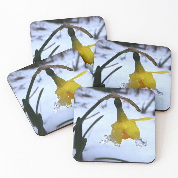 Item preview, ice on a daffodil designed and sold by 6059.