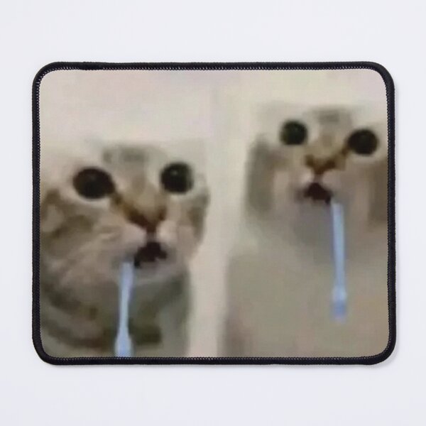 Item preview, Two Drooling Cats Dumb Duo Meme Sticker designed and sold by UtopiaDripPR.