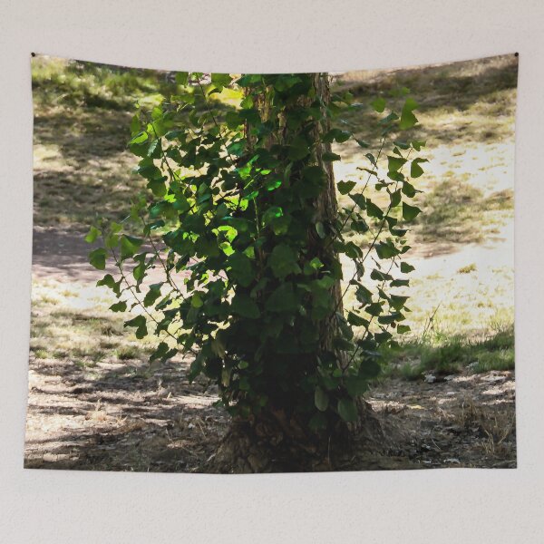 Item preview, Climbing Leaves designed and sold by heatherfriedman.