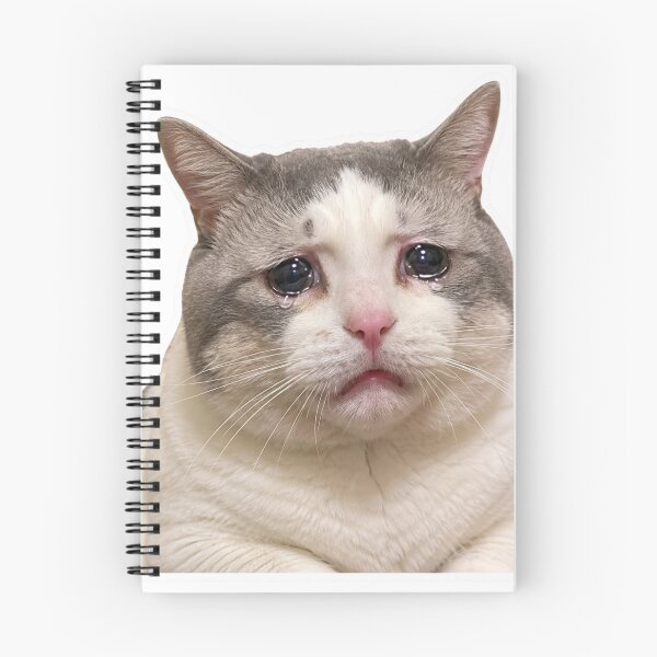 Item preview, Crying Cat Funny Sad Meme Sticker Cute Kitten designed and sold by MoodyMeows.