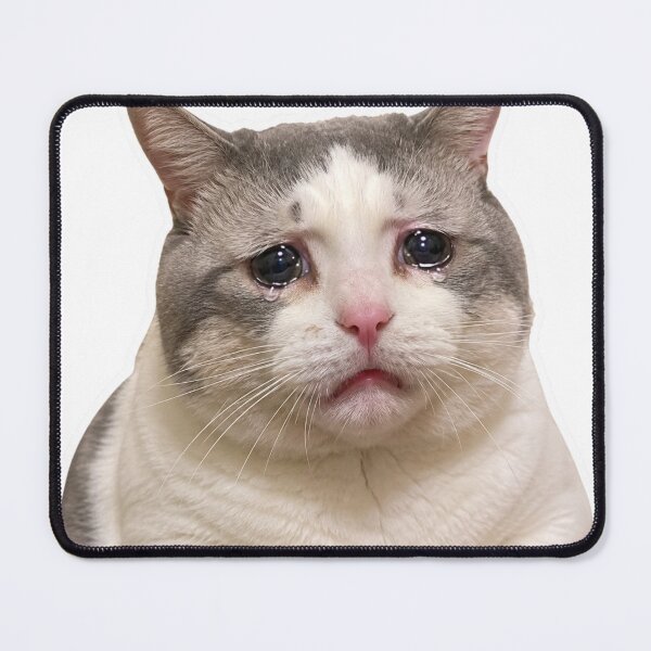 Item preview, Crying Cat Funny Sad Meme Sticker Cute Kitten designed and sold by MoodyMeows.