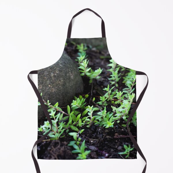 Item preview, English Thyme designed and sold by lifeinpinkcrochet.