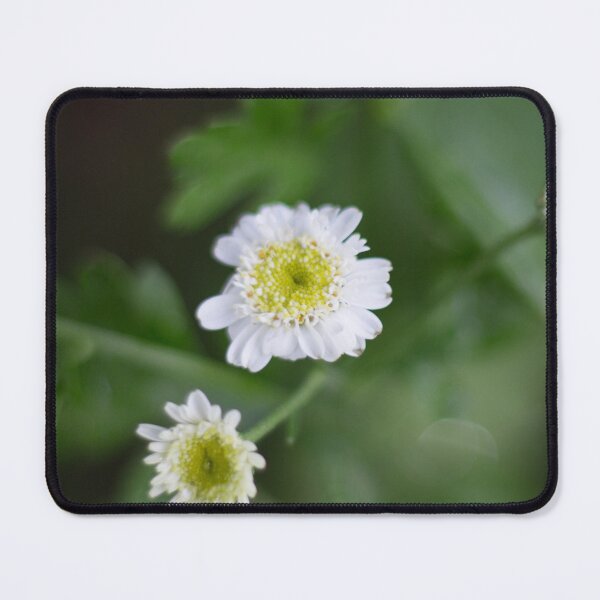 Item preview, Feverfew Flower  designed and sold by lifeinpinkcrochet.