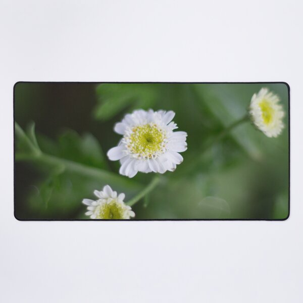 Item preview, Feverfew Flower  designed and sold by lifeinpinkcrochet.
