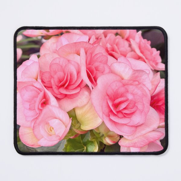Item preview, Soft Pink Begonia Flowers In Bloom designed and sold by Be Captured by Brittany Emma.