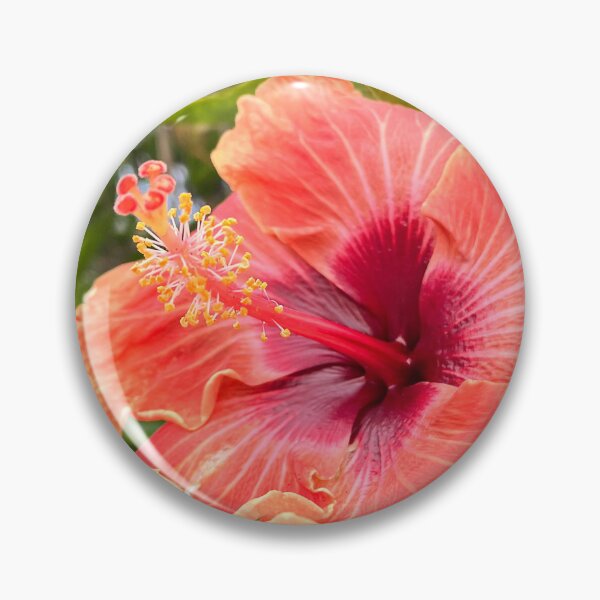 Item preview, Orange Hibiscus Flower With Vibrant Red Centre designed and sold by Be Captured by Brittany Emma.
