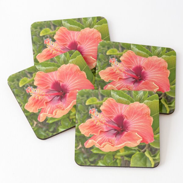 Item preview, Orange Hibiscus Flower With Vibrant Red Centre designed and sold by Be Captured by Brittany Emma.