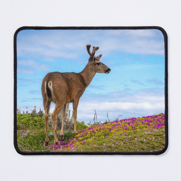 Item preview, Young Deer in Wildflowers | Peaceful Wildlife Nature Photography designed and sold by TheHikersEye.