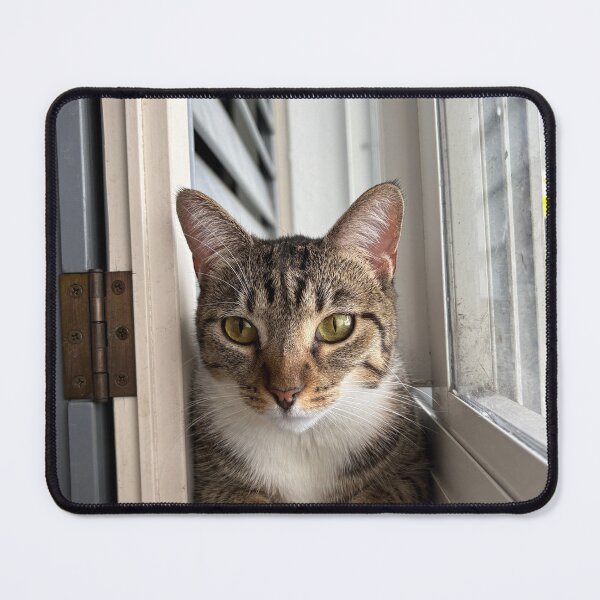 Item preview, Chuy designed and sold by SkyrozeTs.