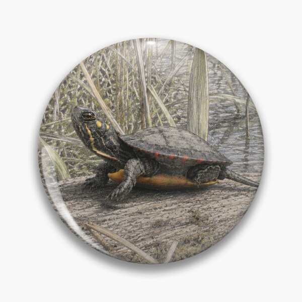 Item preview, Juvenile Eastern Painted Turtle about to explore the world designed and sold by jen1was.