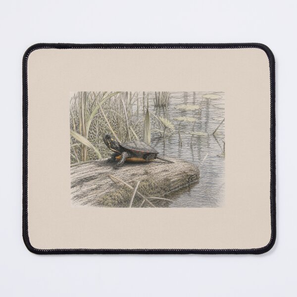Item preview, Juvenile Eastern Painted Turtle about to explore the world designed and sold by jen1was.