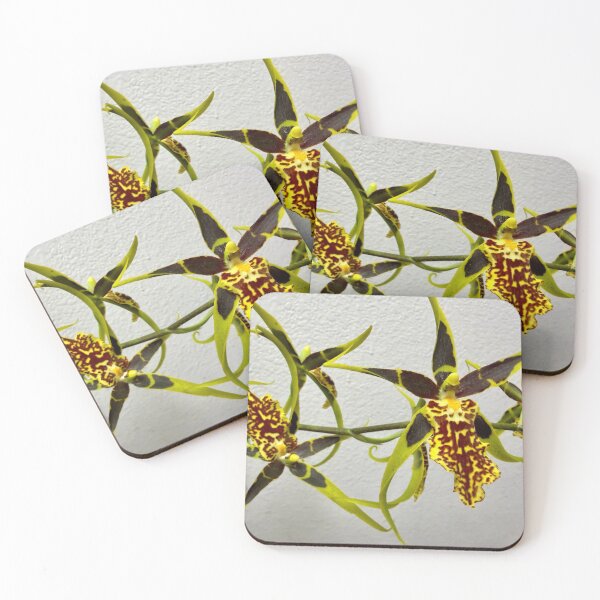Item preview, Flowers of an Orchid  designed and sold by Betsy Phillips.