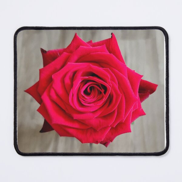 Item preview, Roses designed and sold by Leajato Robinson.