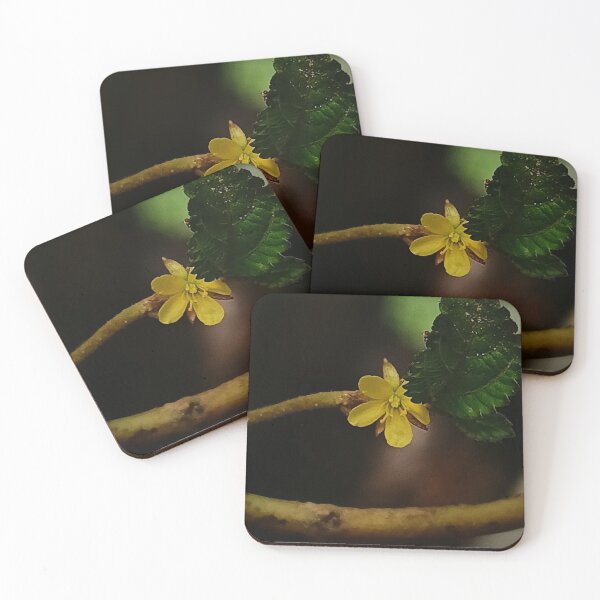Item preview, Tiny Yellow Wildflower Macro Photography designed and sold by Meiguilin.