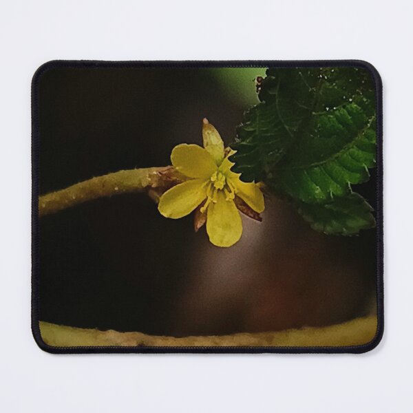 Item preview, Tiny Yellow Wildflower Macro Photography designed and sold by Meiguilin.