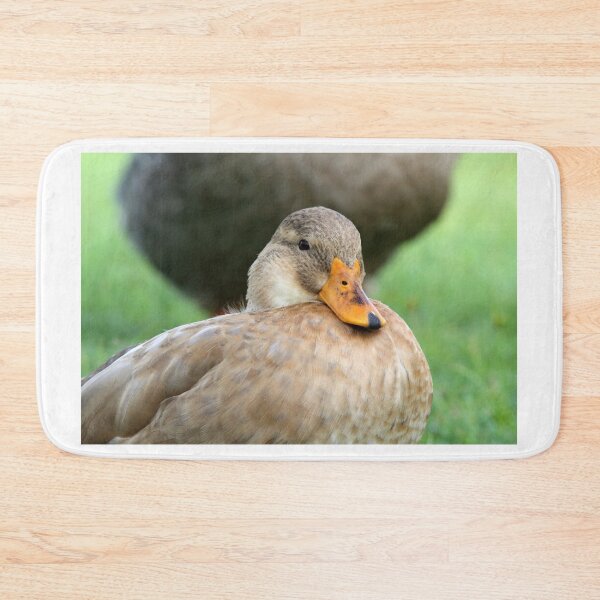 Item preview, Cute Domestic Duck Resting Close Up Portrait designed and sold by 27Tammy27.
