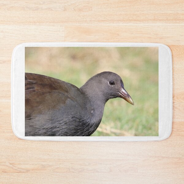 Item preview, Juvenile Australian Dusky Moorhen Profile Portrait designed and sold by 27Tammy27.