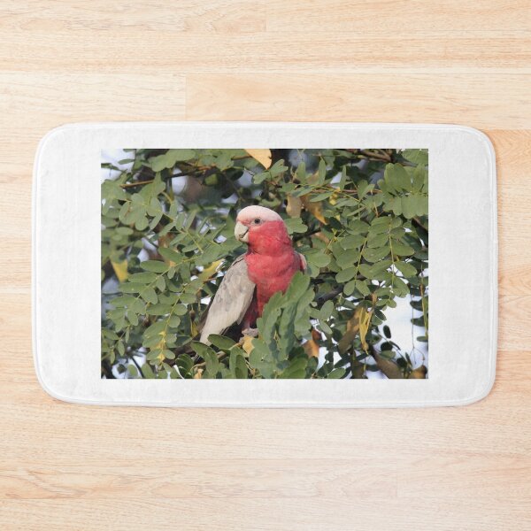 Item preview, Australian Galah Rose Breasted Cockatoo Portrait designed and sold by 27Tammy27.