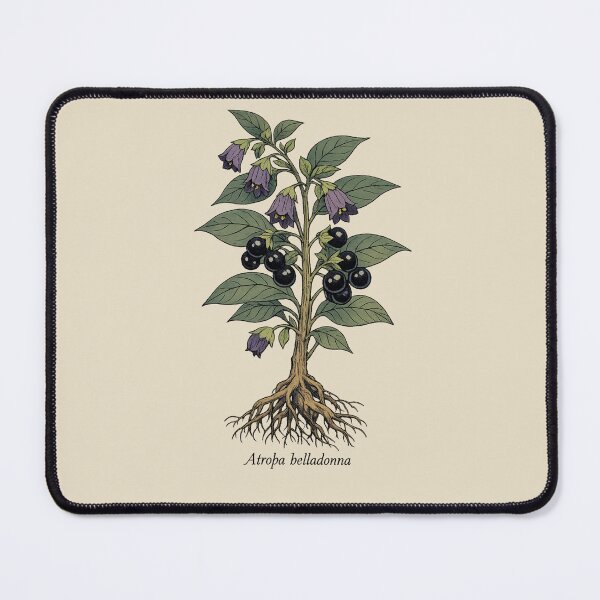 Item preview, Atropa Belladonna Deadly Nightshade — Vintage Poison Garden Botanical Dark Academia Witchy Herb designed and sold by Planthem.