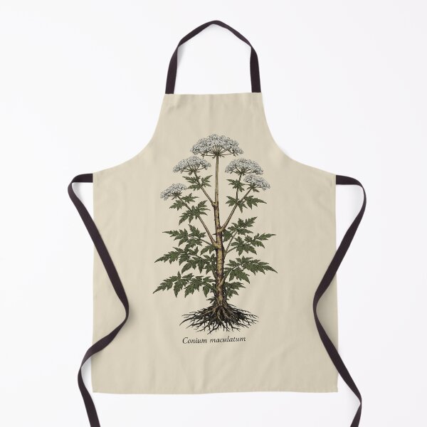 Item preview, Conium Maculatum Hemlock — Vintage Poison Garden Botanical Dark Academia Witchy Herb designed and sold by Planthem.