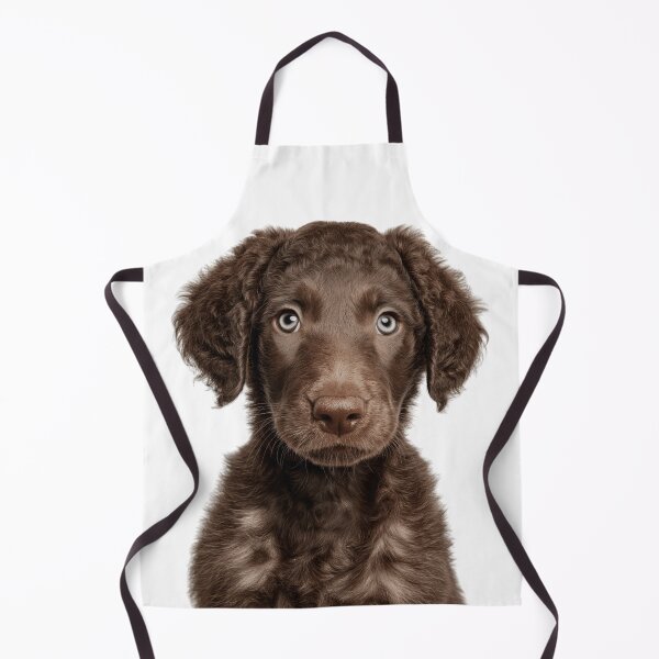 Item preview, Adorable cachorro de Retriever de pelo rizado para amantes de los cachorros de pelo rizado. designed and sold by LazyOwlStore.
