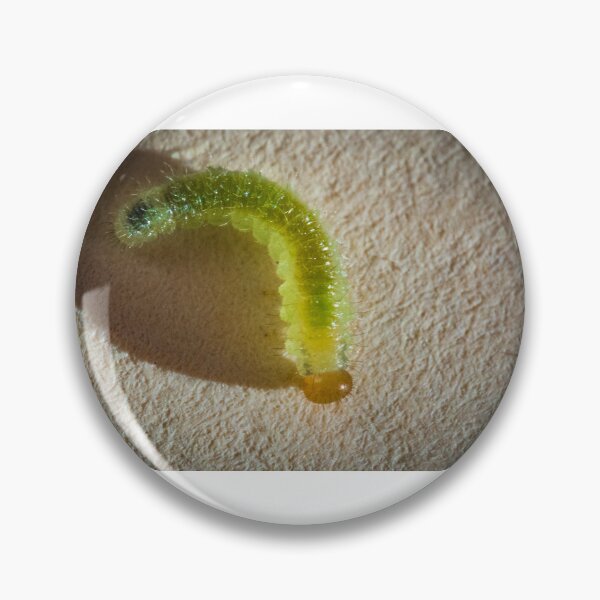 Item preview, Translucent worm designed and sold by XaviFotografia.