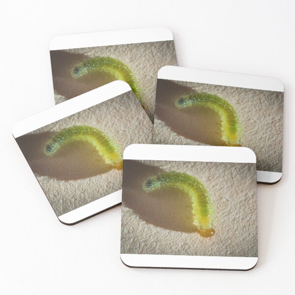 Item preview, Translucent worm designed and sold by XaviFotografia.