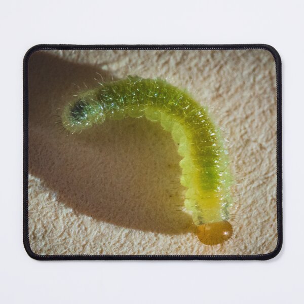 Item preview, Translucent worm designed and sold by XaviFotografia.