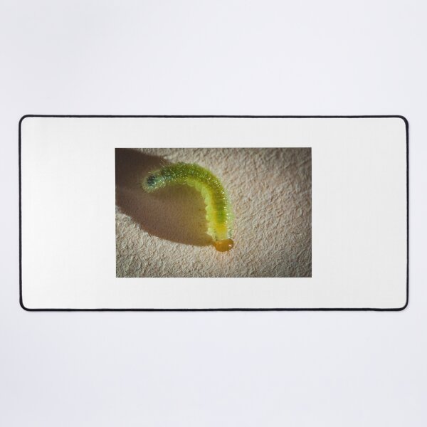 Item preview, Translucent worm designed and sold by XaviFotografia.