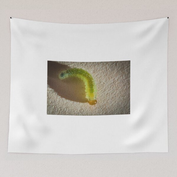 Item preview, Translucent worm designed and sold by XaviFotografia.