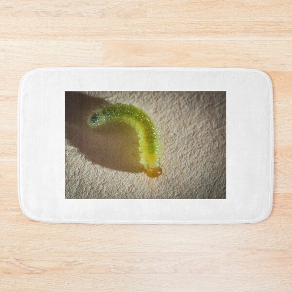 Item preview, Translucent worm designed and sold by XaviFotografia.
