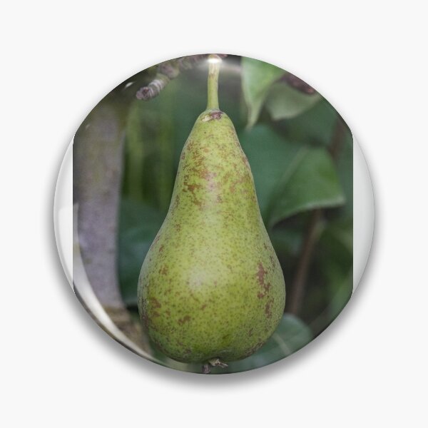 Item preview, Pear designed and sold by XaviFotografia.