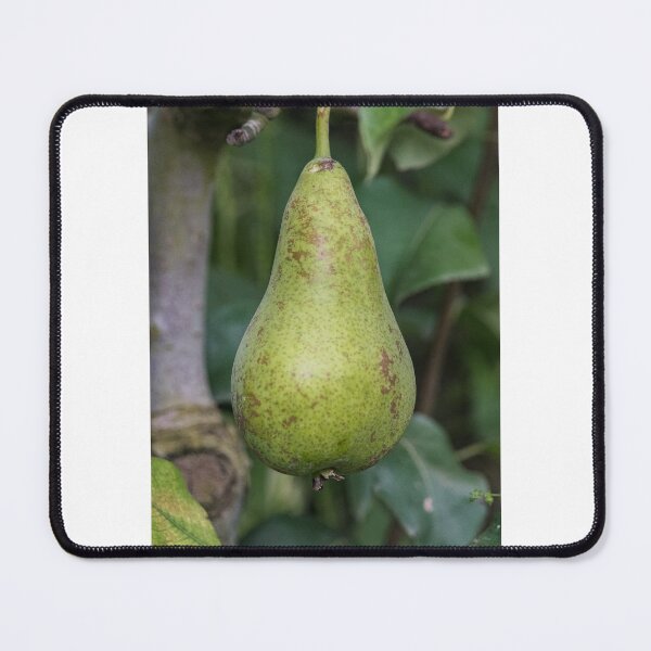 Item preview, Pear designed and sold by XaviFotografia.