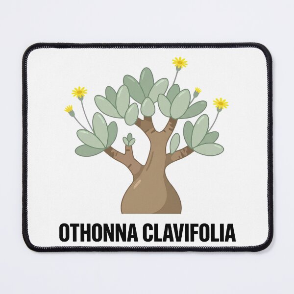Item preview, Minimalist Othonna Clavifolia Caudex Graphic Art designed and sold by GreenDivisionJP.