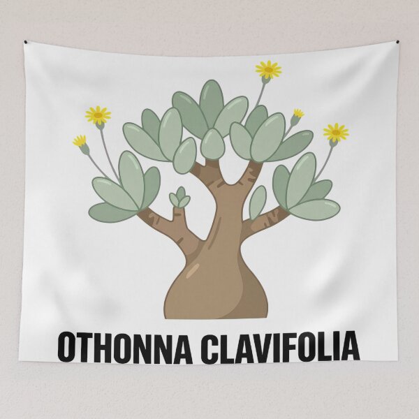 Item preview, Minimalist Othonna Clavifolia Caudex Graphic Art designed and sold by GreenDivisionJP.