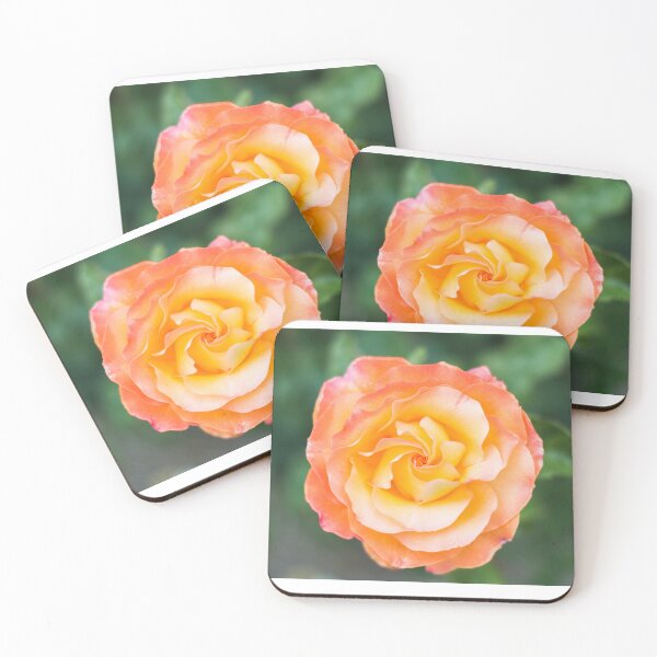 Item preview, Yellow and orange rose designed and sold by XaviFotografia.