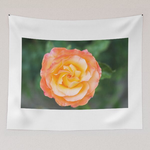 Item preview, Yellow and orange rose designed and sold by XaviFotografia.