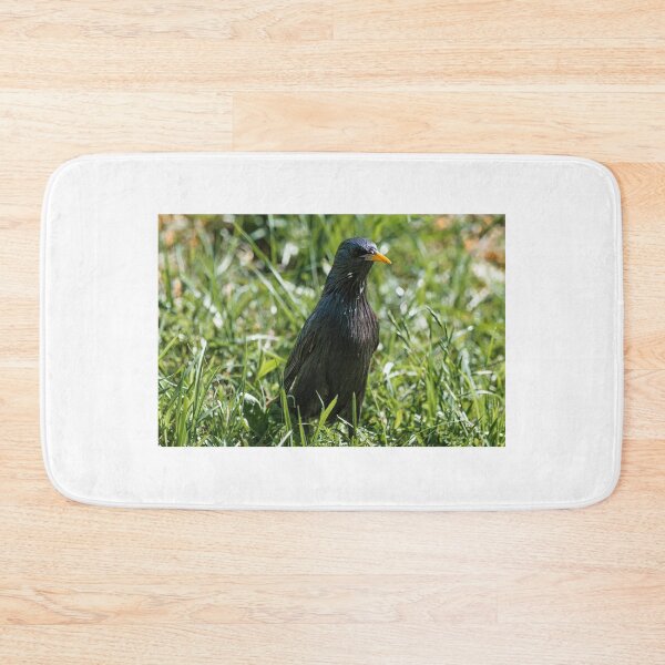 Item preview, Starling on lawn designed and sold by XaviFotografia.