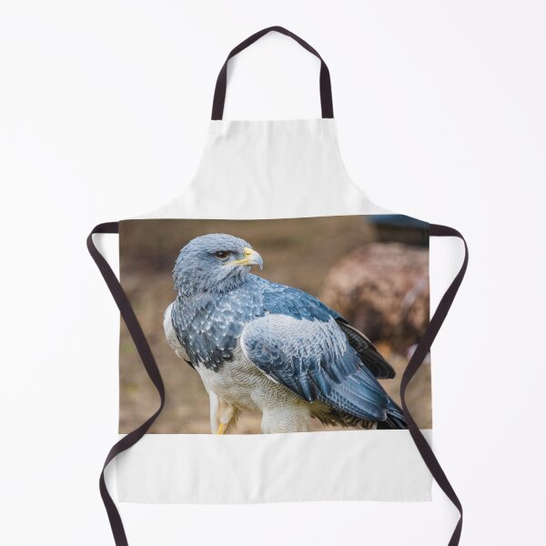 Item preview, Hawk designed and sold by XaviFotografia.