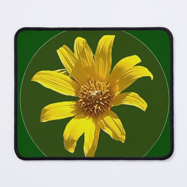 Item preview, Sunflower designed and sold by Fayes4Art.